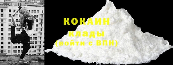 соль курить ск Новодвинск