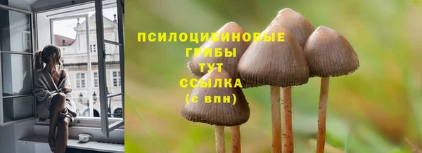 трава Новокубанск